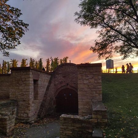 Stela'S Apartments - Vysehrad ปราก ภายนอก รูปภาพ